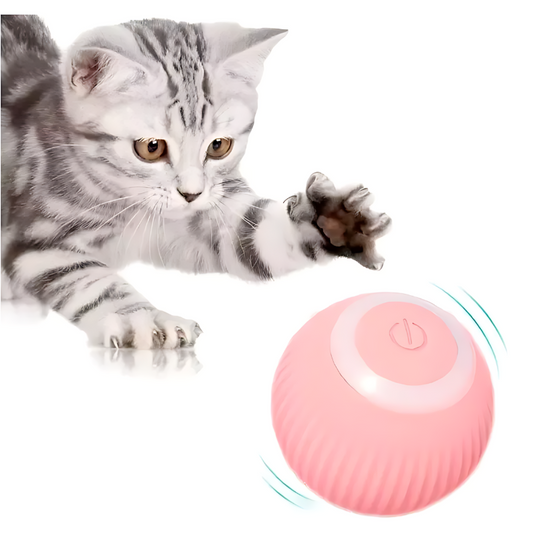 Juguete Pelota Interactiva Gatos